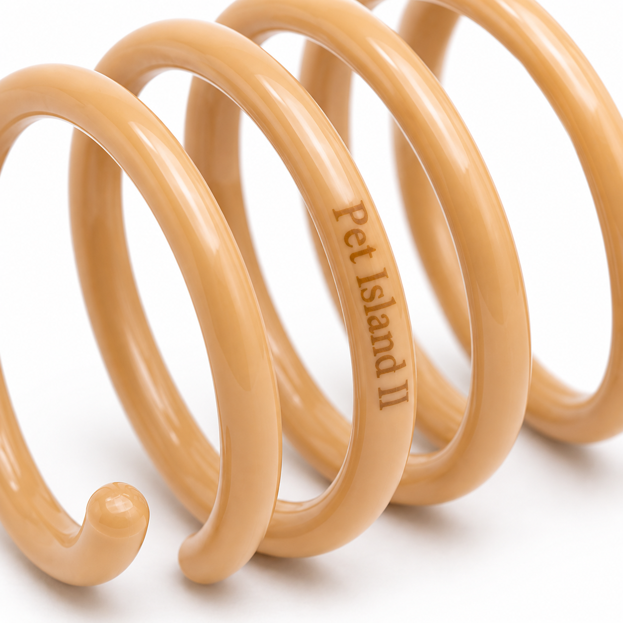 Interactive Spring Coil Cat Toy | Flexible Spiral Bouncy Toy for Cats | Indoor Active Play | Pet Island II - Image 3